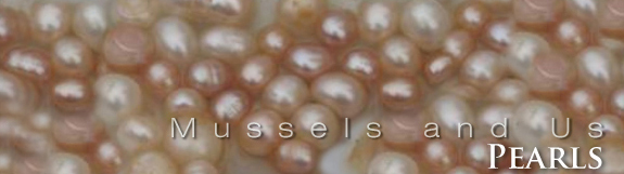 Mussels - Pearls